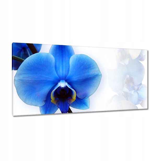 Obrazy 115x55 Modrý orchidej
