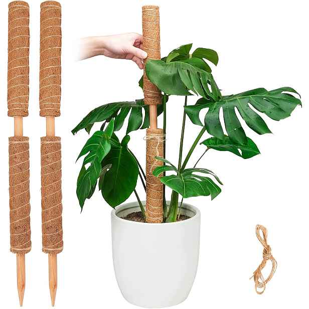 Kokosové Tyče Pro Rostliny 4 Ks 30 CM Opory Pro Monsteru Pothos Popínavé Rostliny