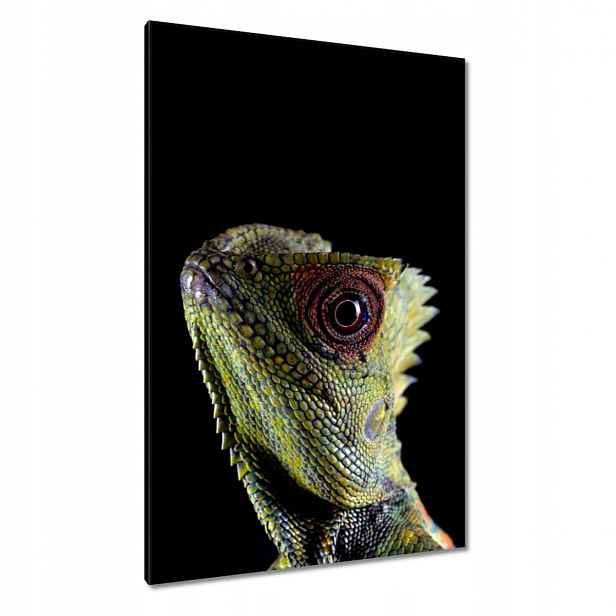 Obrazy 80x120 Zelená ještěrka v lese