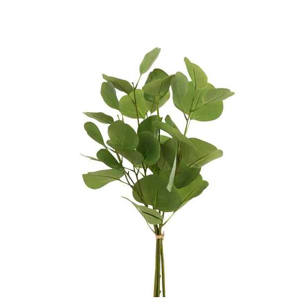 Zelený Eucalyptus - Svazek umělé dekorativní rostliny - 50 cm J-Line by Jolipa