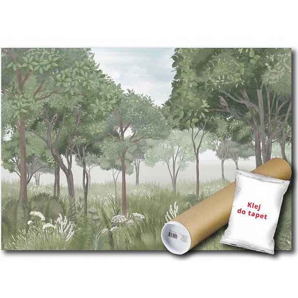 Vinylová fototapeta Les park stromy 152x104