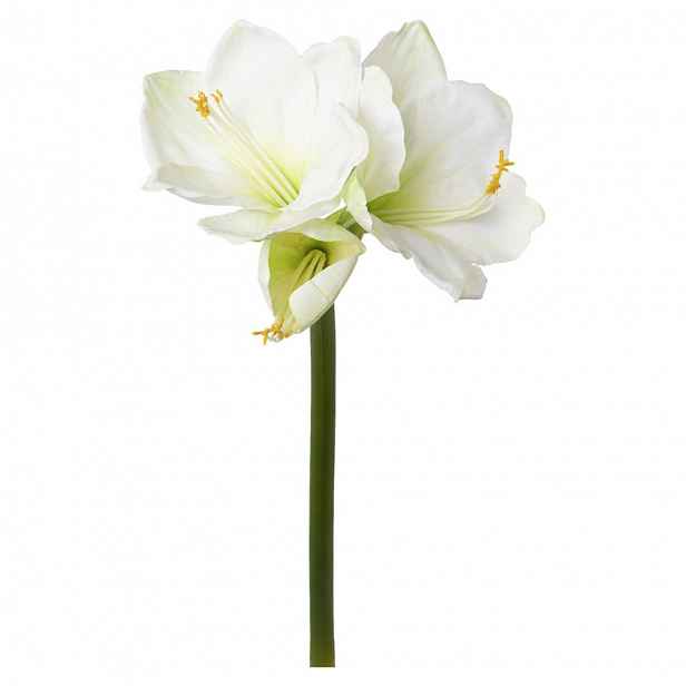 Umělá Rostlina Amarylis, V: 68cm
