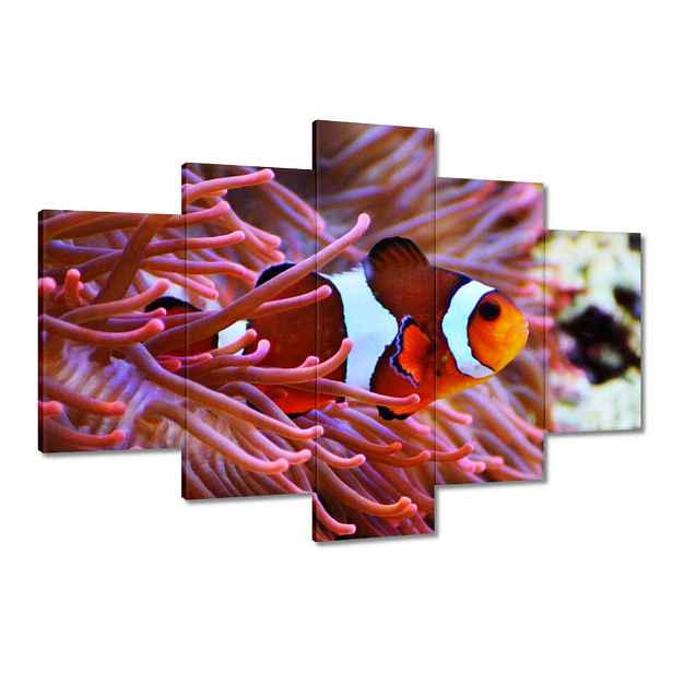 Obrazy 120x80 Oranžová rybka Rafa