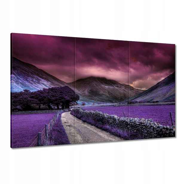 Obrazy 120x80 Fialová krajina