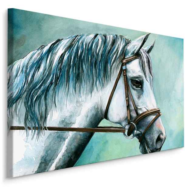 MyBestHome BOX Plátno Bílý Kůň Varianta: 90x60