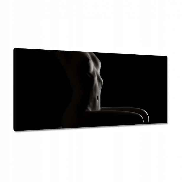 Obrazy 115x55 Akty Nahota Láska Foto