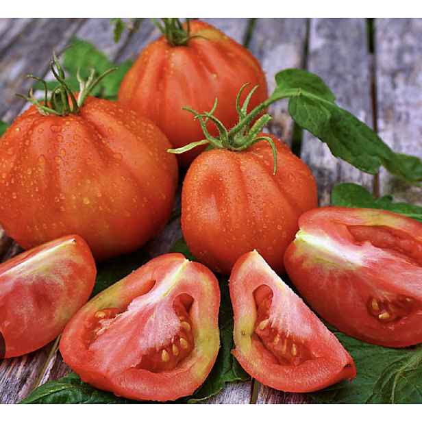 Culina Botanica Rajče masité Cannestrino di Lucca