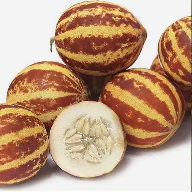 Culina Botanica Meloun cukrový nejsladší