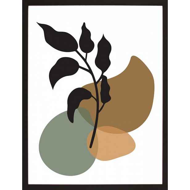 Rámovaný obraz Botanic IV, 30x40 cm