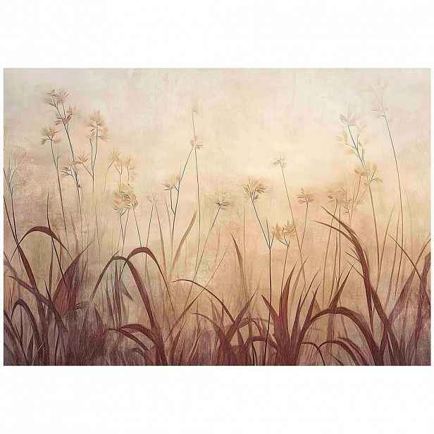 Wallarena FOTOTAPETA s trávou do obývacího pokoje v boho stylu 300x210