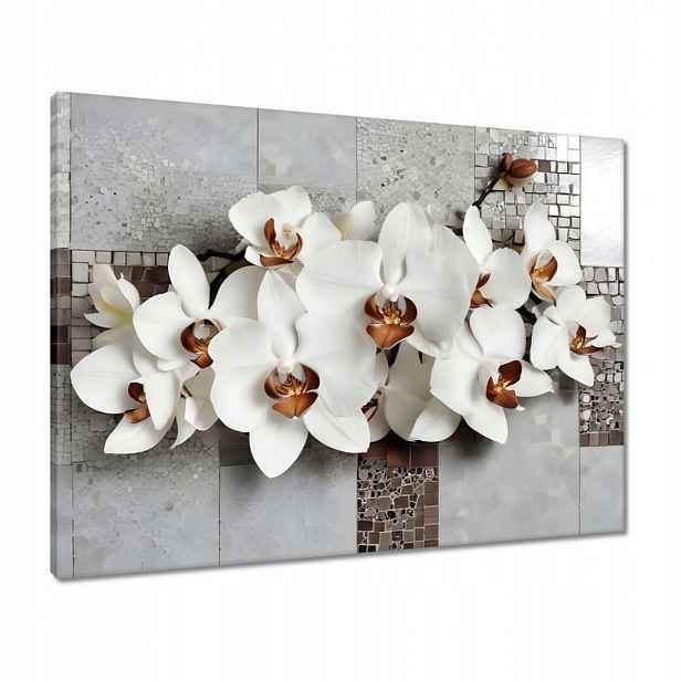 Obrazy 80x60 Bílé orchideje a mozaika