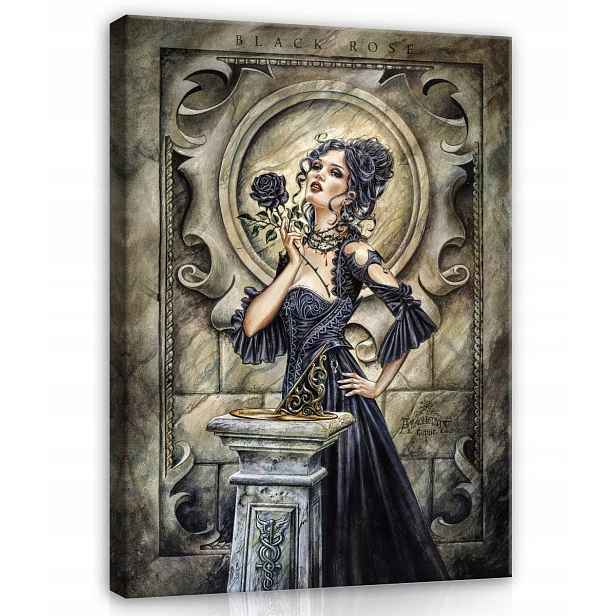 Obraz Na Plátně Canvas 40x60 Alchemy Gothic Black Rose Žena Růže