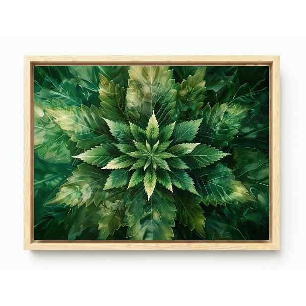 Obraz Rám Americký Box Mandala List Konopí Zelená Příroda Botanika 80x60