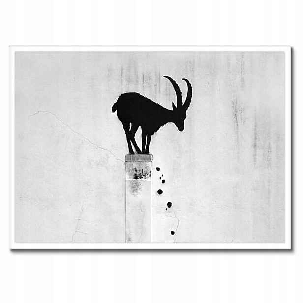 Plakáty v rámu 70x50 Kozica Banksy Gazela horská Nedostatek soukromí Mural