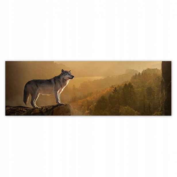 Fototapety 200x66 Vlk na svahu