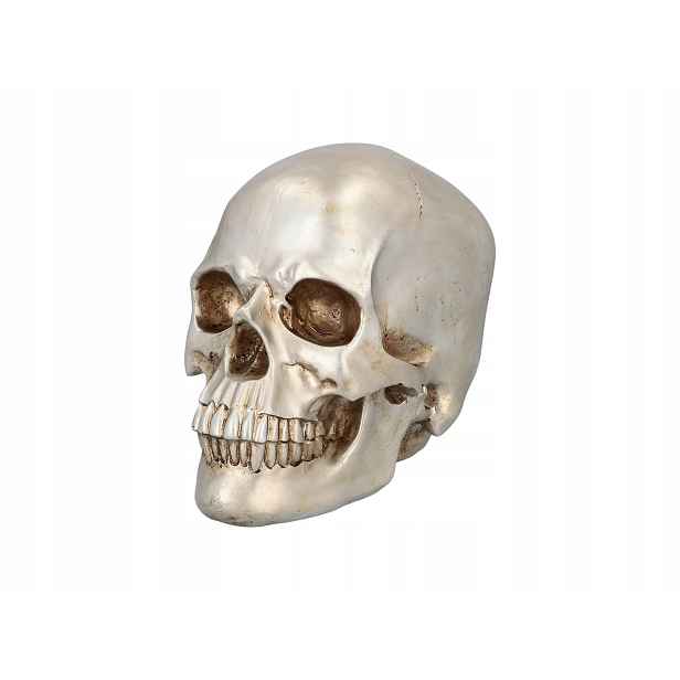 Lesklá lebka na Halloween Lebka