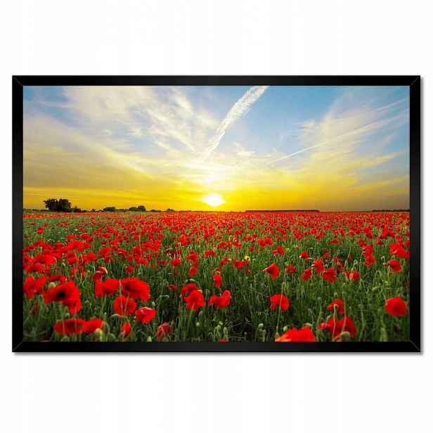 Plakáty v rámu 60x40 Pole máků se západem