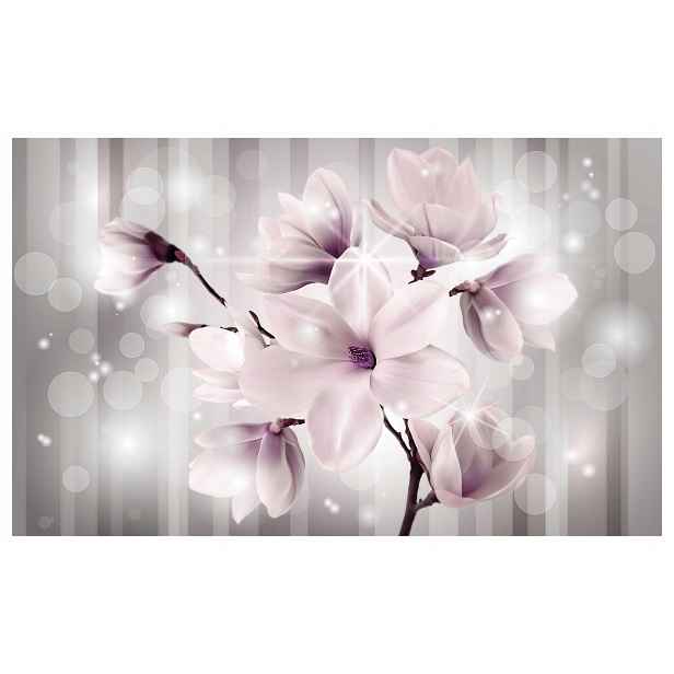 Vliesová fototapeta Magnolie jemnost na šedém pozadí 250x175 lepidlo
