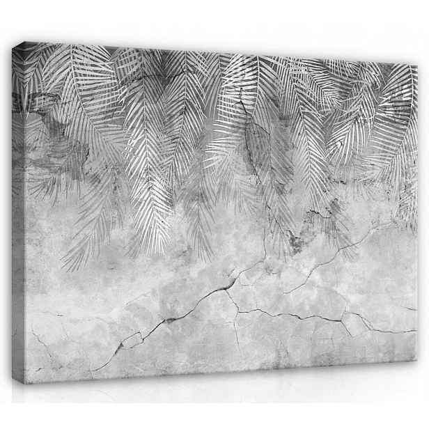 Obraz Na Plátně Plátno 70x50 Imitace Betonu Stěna Struktura Listy Palma