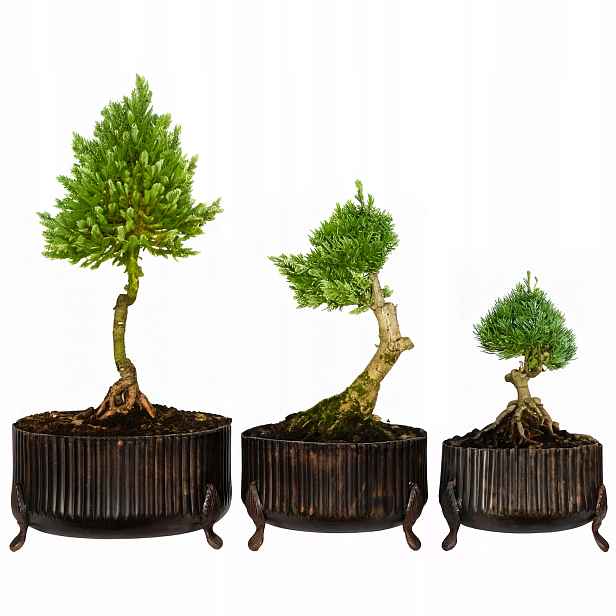 Květináč Na Bonsai Velký 3 ks na nožičkách, hnědý obal na květináč do obývacího pokoje