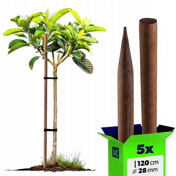 5 x Dřevěné Tyče Na Rajčata 120 cm Impregnované Podpěry 28 mm