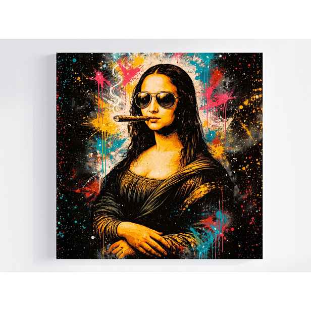 Obraz Na Plátně Canvas Mona Lisa Gioconda Humor Street Art Splash 50x50