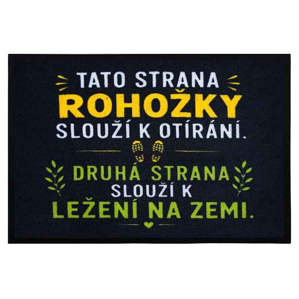 Rohožka Slouží 40x60 cm, 40x60, černá, Mercury Flooring