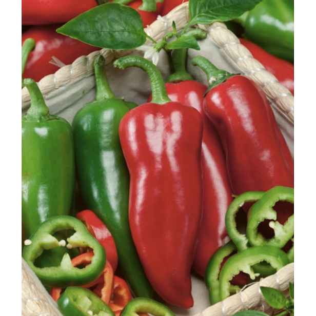 Culina Botanica Paprika Fatima