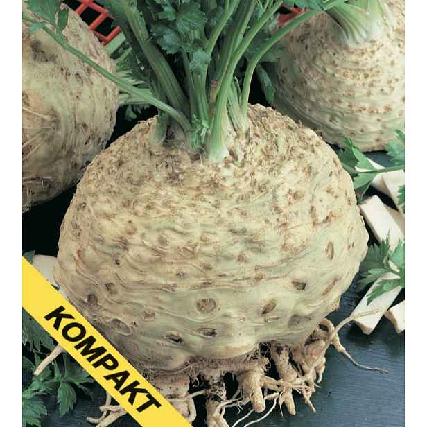 Culina Botanica Celer Kompakt