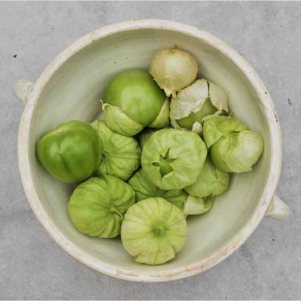 Culina Botanica Mochyně dužinoplodá zelená / Tomatilo