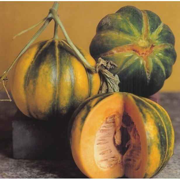 Culina Botanica Meloun Noir de Carmes