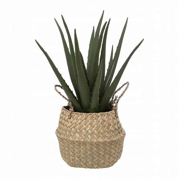 Umělá rostlina Aloe v košíku, 37 cm