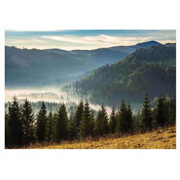 Fototapeta Horská Krajina Smrkový les 368x254