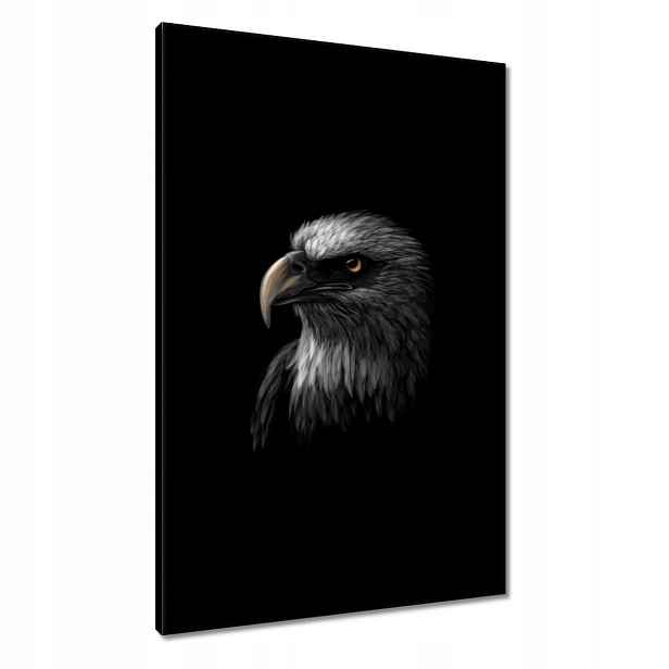 Obrazy 60x90 Orel Bílý pták orli