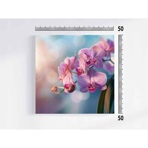 Obraz Na Plátně Canvas Květina Orchidej Příroda Zen 50x50