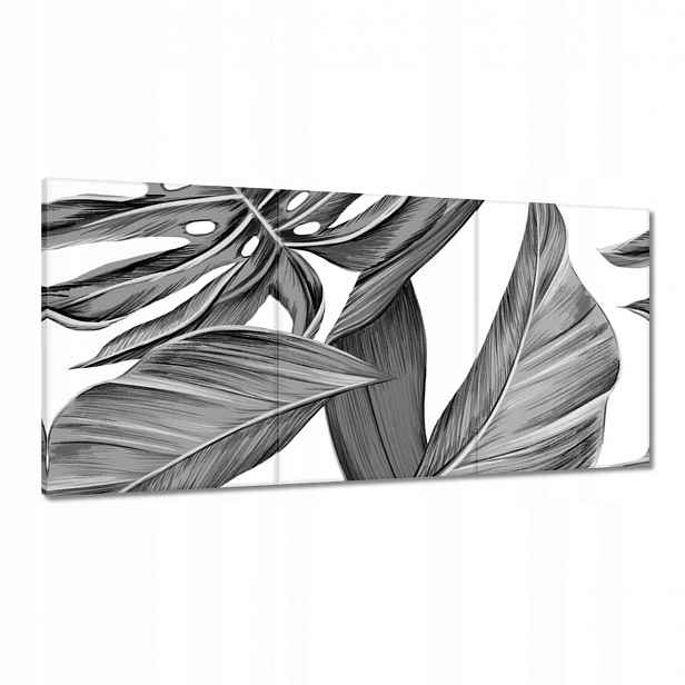 Obrazy 180x90 Monstera v šedé barvě