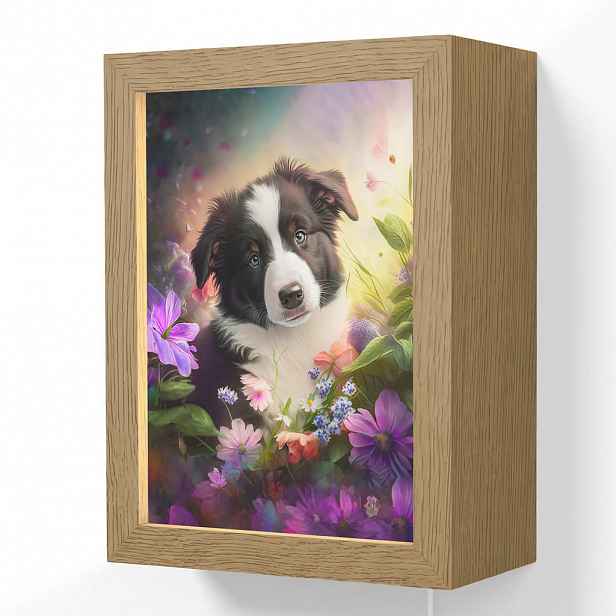 OnlyWow NÁSTĚNNÁ LAMPA Štěně - Slunce - Květiny - Příroda - Border kolie - Pes 15x20 cm