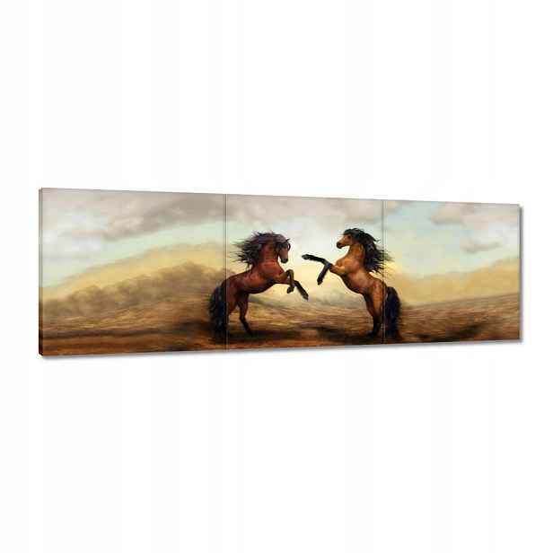 Obrazy 120x40 Dva koně