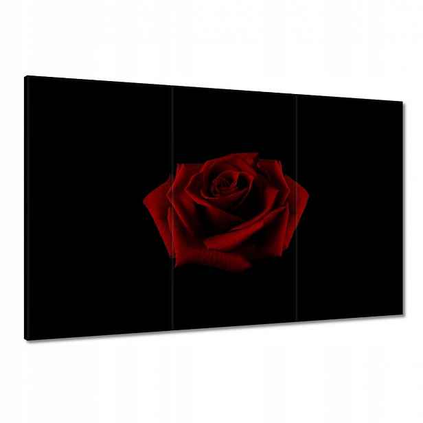 Obrazy 120x80 Krásná červená růže