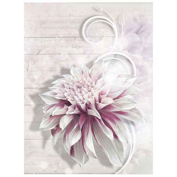 Fototapeta Bílo-růžové květy elegance vinylová 184x254 lepidlo