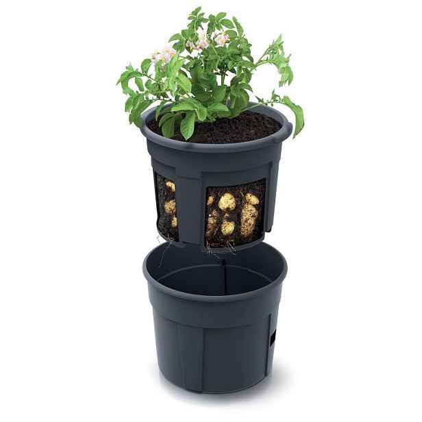 Květináč na pěstování brambor POTATO GROWER antracit 39,2 cm