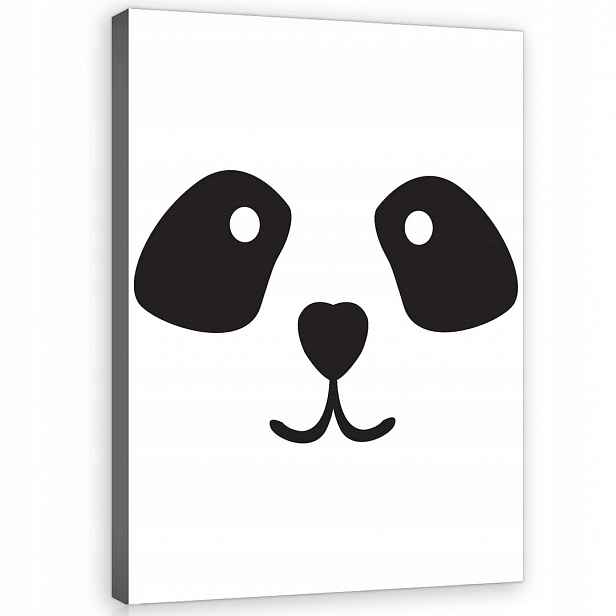 Obraz Na Plátně Canvas 60x80 Medvídek Panda