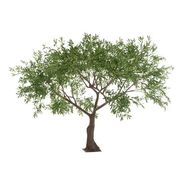 Velkolepý olivovník Olea Tree - 295*295*220 cm J-Line by Jolipa