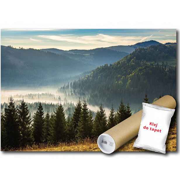 Fototapeta Flizelina Hory Les Mlha Pohled 312x219