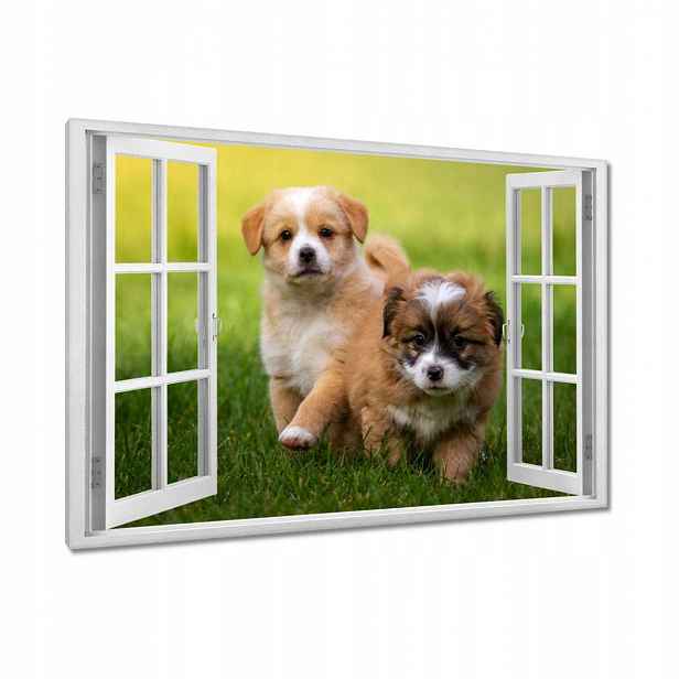 Obrazy 90x60 Pejsci