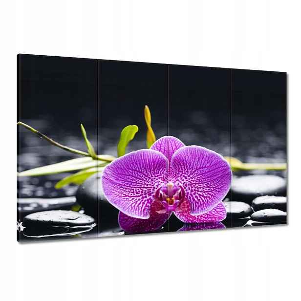 Obrazy 120x80 Fialová orchidej