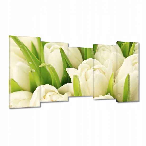 Obrazy 150x80 Jemné tulipány