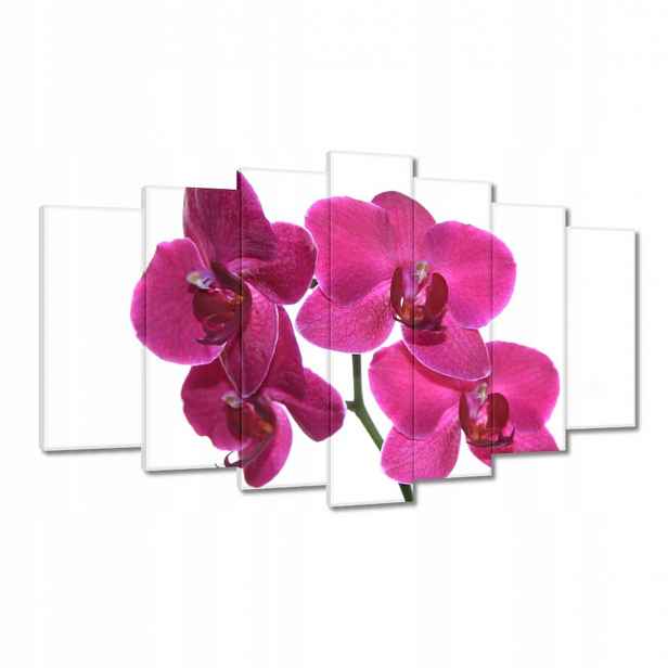 Obrazy 140x80 Fialový orchidej