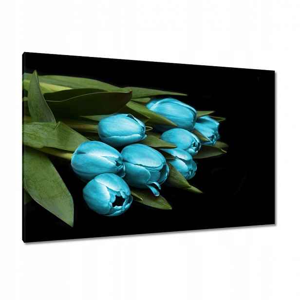 Obrazy 120x80 Tyrkysové tulipány Květina