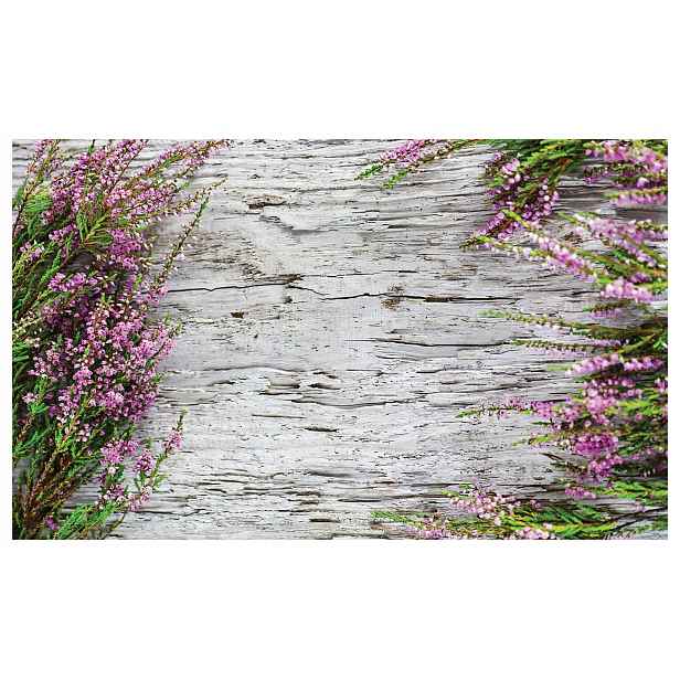Fototapeta Podzimní vřes rustikální přírodní klid 312x219 lepidlo